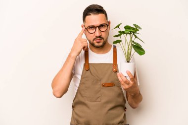 Beyaz arka planda bir bitki tutan İspanyol bahçıvan parmağıyla tapınağı işaret ederek bir göreve odaklandı..