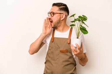 İspanyol bahçıvan beyaz arka planda izole edilmiş bir bitki tutuyor bağırıyor ve avuç içini açık tutuyor..