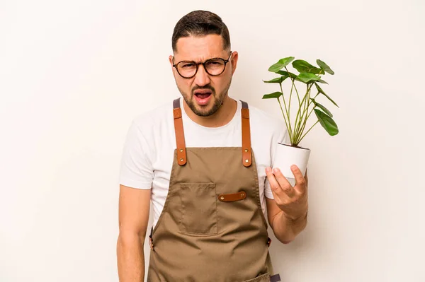 Hispanic Gardener Man Holding Plant Isolated White Background Screaming Very — Foto Stock