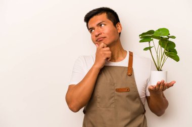 Genç bahçıvan İspanyol bir adam beyaz arka planda izole edilmiş bir bitki tutuyor şüpheli ve şüpheci bir ifadeyle yana bakıyor..