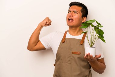Genç bahçıvan İspanyol asıllı bir adam beyaz arka planda izole edilmiş bir bitki tutuyor zafer kazandıktan sonra yumruğunu kaldırıyor, kazanan konsept.