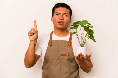 Genç bahçıvan İspanyol bir bitki tutuyor beyaz arka planda bir fikri var, ilham verici bir kavram..