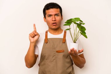 Genç bahçıvan İspanyol bir adam beyaz arka planda izole edilmiş bir bitki tutuyor. Harika bir fikri var, yaratıcılık kavramı..