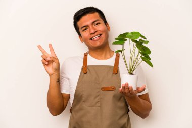 Genç bahçıvan İspanyol bir adam beyaz arka planda izole edilmiş bir bitki tutuyor neşeli ve kaygısız parmaklarıyla barış sembolü gösteriyor..