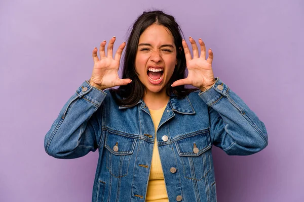 Mor arka planda izole edilmiş genç İspanyol kadın pençelerini bir kediyi taklit ederken gösteriyor, agresif bir hareket..