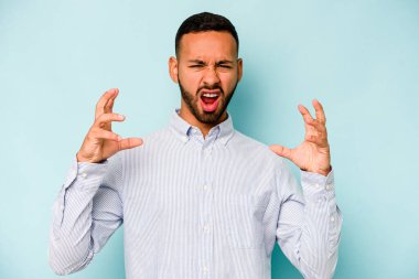 Genç İspanyol adam mavi arka planda izole edilmiş öfkeyle bağırıyor..