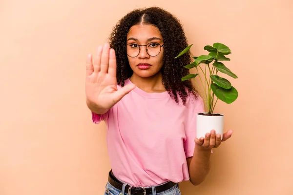 Young African American Woman Holding Plant Isolated Beige Background Standing — 스톡 사진