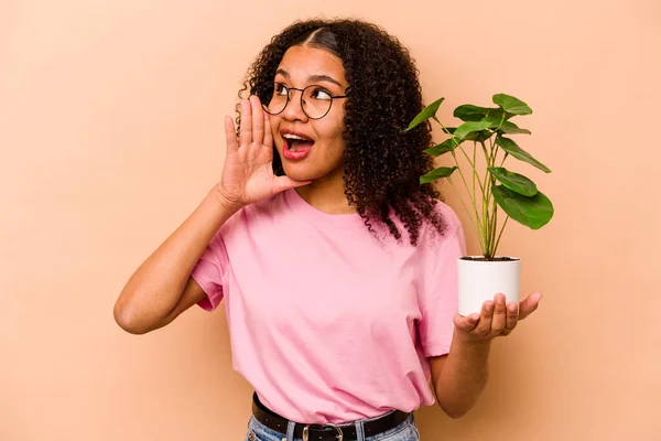 Young African American Woman Holding Plant Isolated Beige Background Shouting — 스톡 사진