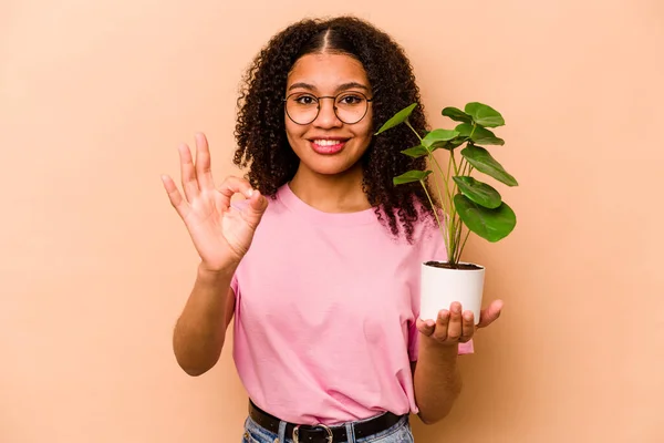 Young African American Woman Holding Plant Isolated Beige Background Cheerful — 스톡 사진