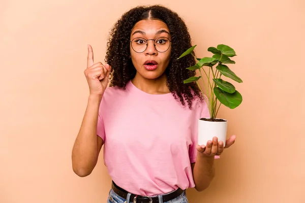 Young African American Woman Holding Plant Isolated Beige Background Having — Stock fotografie