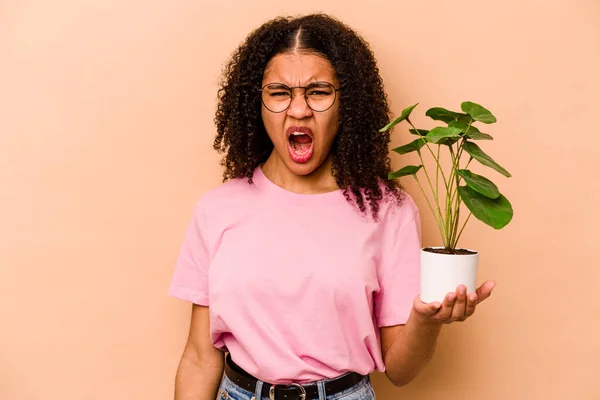 Ung Afroamerikansk Kvinna Håller Växt Isolerad Beige Bakgrund Skriker Mycket — Stockfoto