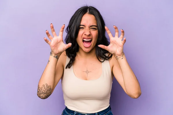 Young Hispanic Woman Isolated Purple Background Showing Claws Imitating Cat — 스톡 사진