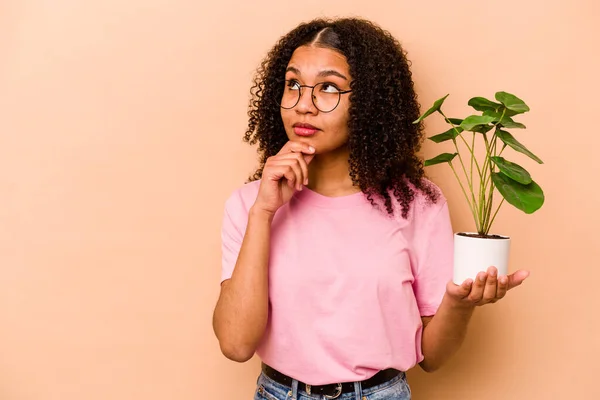 Young African American Woman Holding Plant Isolated Beige Background Looking — 스톡 사진