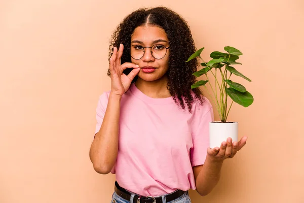 Young African American Woman Holding Plant Isolated Beige Background Fingers — 스톡 사진