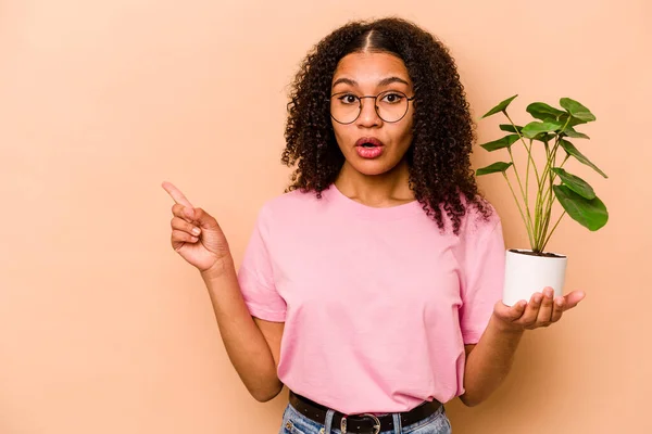 Young African American Woman Holding Plant Isolated Beige Background Pointing — Stock fotografie