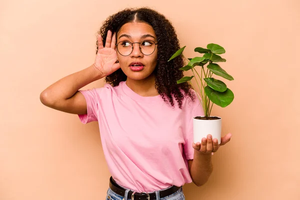 Young African American Woman Holding Plant Isolated Beige Background Trying — 스톡 사진