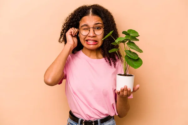 Ung Afroamerikansk Kvinna Håller Växt Isolerad Beige Bakgrund Täcker Öron — Stockfoto