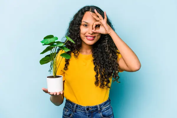 Ung Latinamerikansk Kvinna Håller Växt Isolerad Blå Bakgrund Upphetsad Hålla — Stockfoto