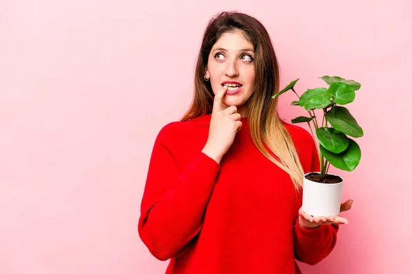Young Caucasian Woman Holding Plant Isolated Pink Background Relaxed Thinking — Stock Photo, Image