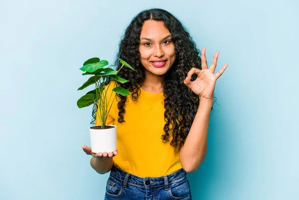 Mladá Hispánka Drží Rostlina Izolované Modrém Pozadí Veselý Sebejistý Ukazující — Stock fotografie