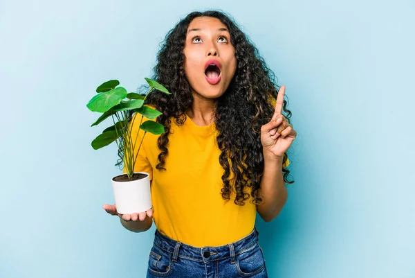 Jonge Hispanic Vrouw Houden Van Een Plant Geïsoleerd Blauwe Achtergrond — Stockfoto