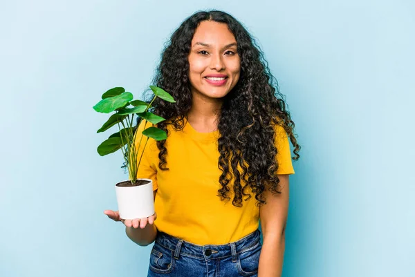 Ung Latinamerikansk Kvinna Håller Växt Isolerad Blå Bakgrund Glad Leende — Stockfoto