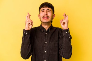 Sarı arka planda izole genç beyaz adam şans dilemek için şans diliyor.
