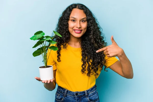 Ung Latinamerikansk Kvinna Håller Växt Isolerad Blå Bakgrund Person Pekar — Stockfoto
