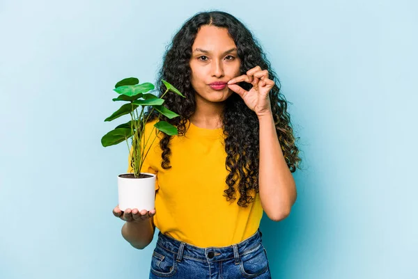 Ung Latinamerikansk Kvinna Håller Växt Isolerad Blå Bakgrund Med Fingrar — Stockfoto