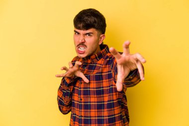 Sarı arka planda izole edilmiş genç beyaz adam pençelerini kedi taklidi yaparken gösteriyor, agresif bir hareket..