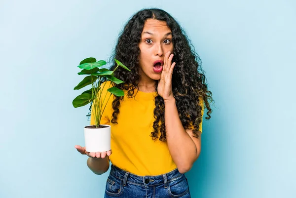 Jovem Hispânica Segurando Uma Planta Isolada Fundo Azul Está Dizendo — Fotografia de Stock