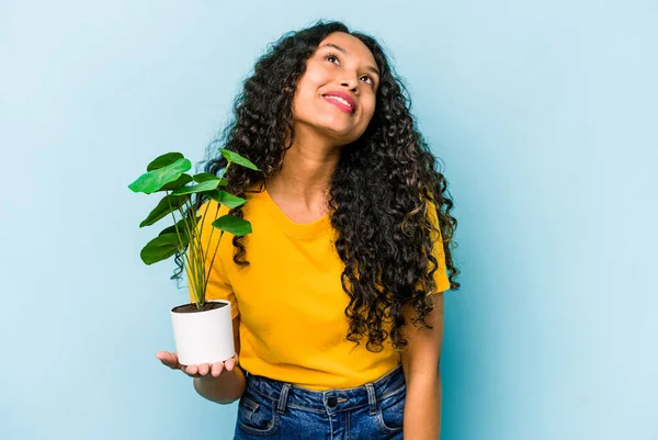 年轻的惊慌失措的女人抱着一棵蓝色背景的植物 梦想着实现自己的目标和目的 — 图库照片