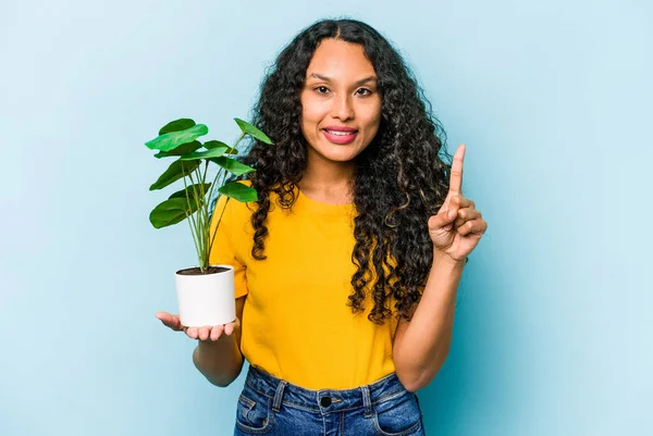 Ung Latinamerikansk Kvinna Håller Växt Isolerad Blå Bakgrund Visar Nummer — Stockfoto