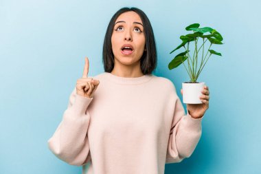 Mavi arka planda izole edilmiş bir bitkiyi tutan genç İspanyol kadın ağzı açık bir şekilde üst tarafı işaret ediyor..
