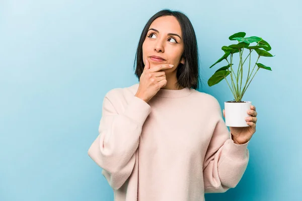 Jovem Hispânica Segurando Uma Planta Isolada Fundo Azul Olhando Para — Fotografia de Stock