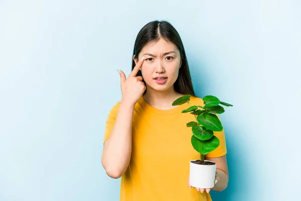 Ung Asiatisk Kvinna Som Håller Växt Isolerad Blå Bakgrund Visar — Stockfoto