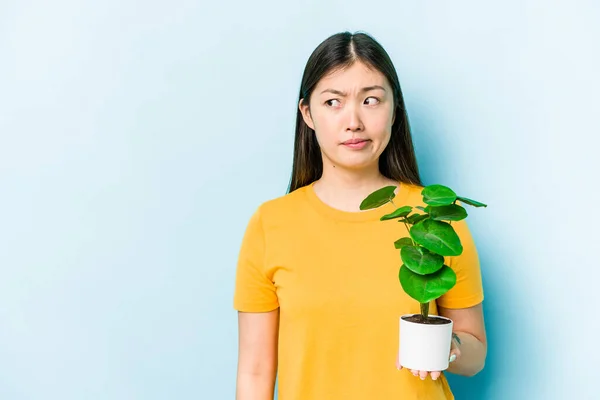 Молодая Азиатка Держащая Растение Голубом Фоне Замешательстве Чувствует Сомнение Неуверенность — стоковое фото