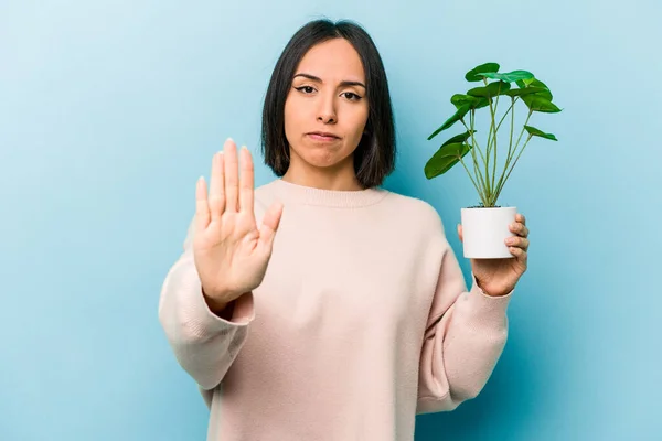 Ung Latinamerikansk Kvinna Håller Växt Isolerad Blå Bakgrund Står Med — Stockfoto
