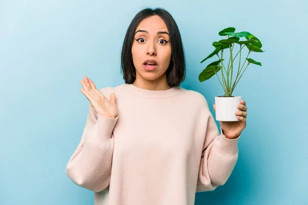 Ung Latinamerikansk Kvinna Håller Växt Isolerad Blå Bakgrund Förvånad Och — Stockfoto