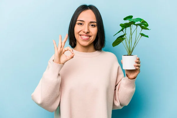 Joven Mujer Hispana Sosteniendo Una Planta Aislada Sobre Fondo Azul — Foto de Stock
