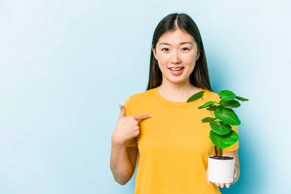Fiatal Ázsiai Kezében Egy Növény Elszigetelt Kék Háttér Személy Mutató — Stock Fotó
