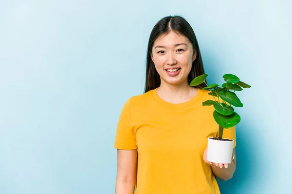 Jovem Mulher Asiática Segurando Uma Planta Isolada Fundo Azul Feliz — Fotografia de Stock