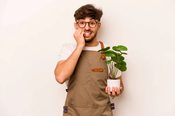 Jonge Tuinman Spaanse Man Houdt Een Plant Geïsoleerd Witte Achtergrond — Stockfoto
