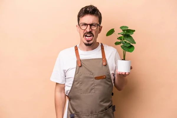 Young caucasian gardener man holding a plant isolated on beige background screaming very angry and aggressive.