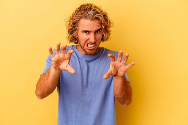 Jovem Caucasiano Isolado Fundo Amarelo Mostrando Garras Imitando Gato Gesto — Fotografia de Stock