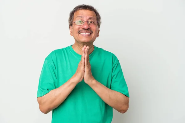 Middle Aged Indian Man Isolated White Background Holding Hands Pray —  Fotos de Stock