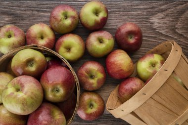 Taze toplanmış Macoun elmaları ahşap tezgahta sepetler içinde.