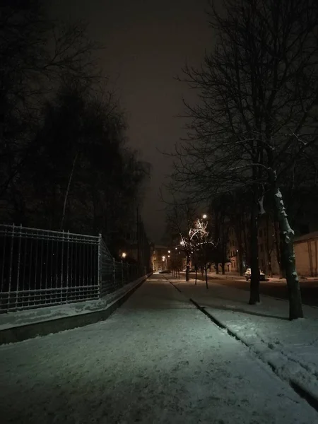 Sentiero Invernale Strada Solitaria Vuota — Foto Stock