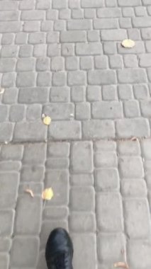 Sonbahar şehrinde yürümek: Birçok insan, serin gün, güçlü rüzgar, sonbahar caddeleri. 