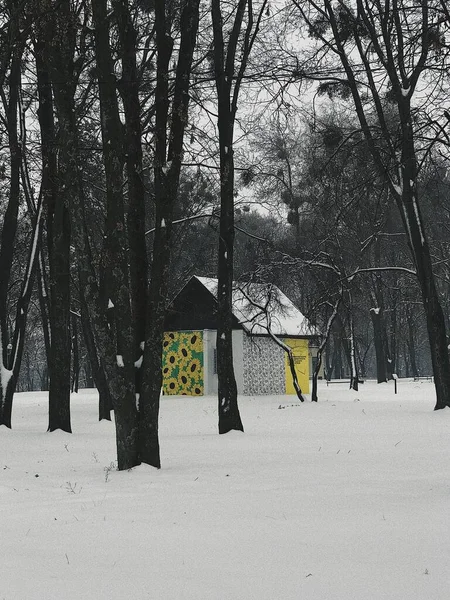 Einige Gebäude Winterpark — Stockfoto